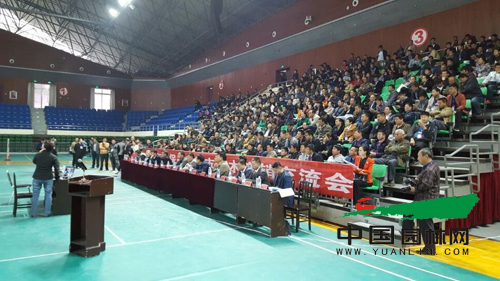 陳教授在演示苗木修剪